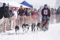 Lenk 2013